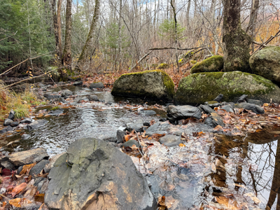 Peaceful Log Cabin Retreat with 128.8 Acres - image 26
