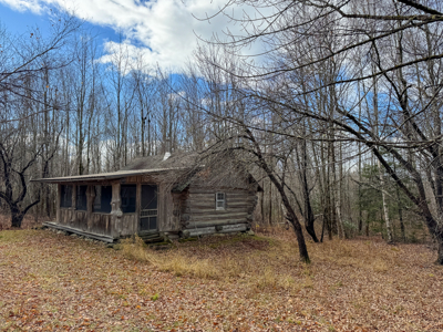 Peaceful Log Cabin Retreat with 128.8 Acres - image 3