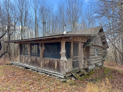 Peaceful Log Cabin Retreat with 128.8 Acres - image 4