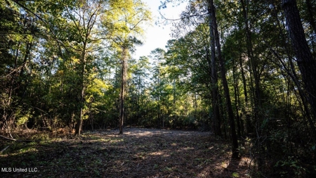 233-Acre Paradise on the Tickfaw River, Osyka, Amite County, MS - image 26