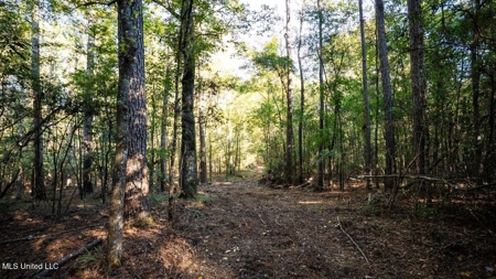 233-Acre Paradise on the Tickfaw River, Osyka, Amite County, MS - image 31