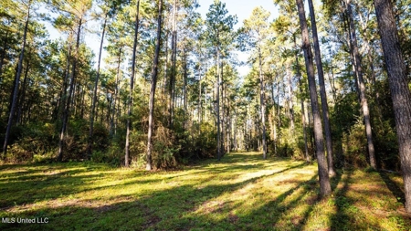 233-Acre Paradise on the Tickfaw River, Osyka, Amite County, MS - image 24