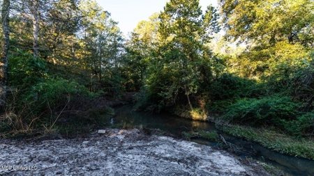 233-Acre Paradise on the Tickfaw River, Osyka, Amite County, MS - image 10
