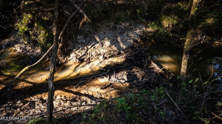 233-Acre Paradise on the Tickfaw River, Osyka, Amite County, MS - image 40