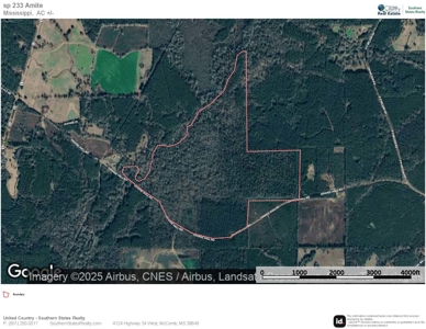 233-Acre Paradise on the Tickfaw River, Osyka, Amite County, MS - image 44