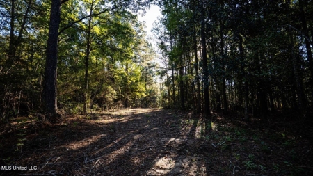 233-Acre Paradise on the Tickfaw River, Osyka, Amite County, MS - image 25