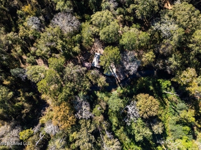 233-Acre Paradise on the Tickfaw River, Osyka, Amite County, MS - image 6