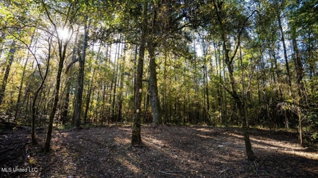 233-Acre Paradise on the Tickfaw River, Osyka, Amite County, MS - image 42