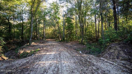 233-Acre Paradise on the Tickfaw River, Osyka, Amite County, MS - image 20