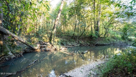 233-Acre Paradise on the Tickfaw River, Osyka, Amite County, MS - image 19