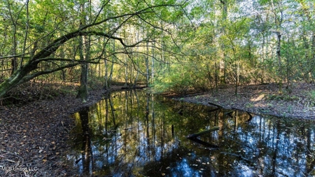 233-Acre Paradise on the Tickfaw River, Osyka, Amite County, MS - image 15