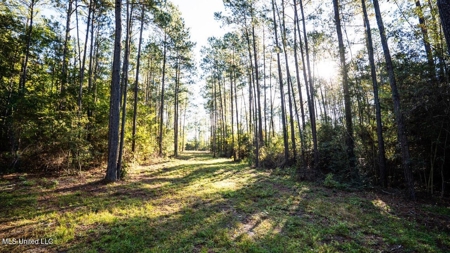 233-Acre Paradise on the Tickfaw River, Osyka, Amite County, MS - image 23