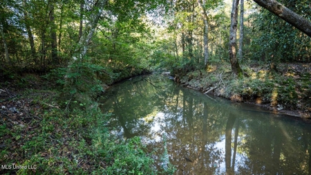 233-Acre Paradise on the Tickfaw River, Osyka, Amite County, MS - image 18