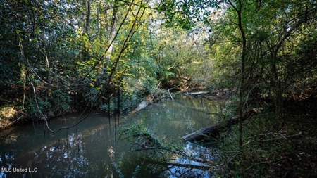 233-Acre Paradise on the Tickfaw River, Osyka, Amite County, MS - image 34