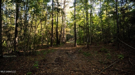 233-Acre Paradise on the Tickfaw River, Osyka, Amite County, MS - image 27