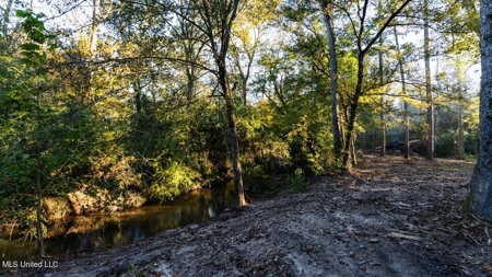 233-Acre Paradise on the Tickfaw River, Osyka, Amite County, MS - image 11