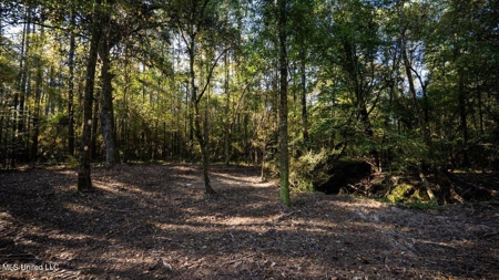 233-Acre Paradise on the Tickfaw River, Osyka, Amite County, MS - image 38