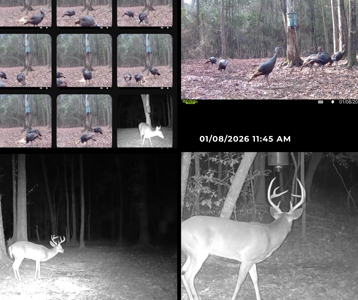 233-Acre Paradise on the Tickfaw River, Osyka, Amite County, MS - image 47