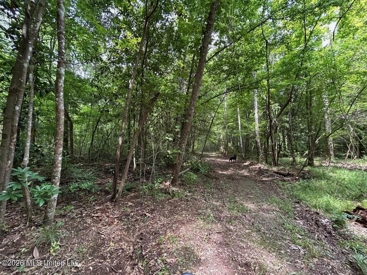Listing 83