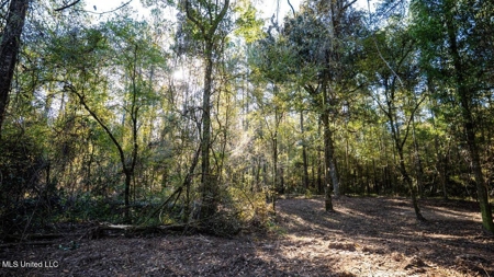 233-Acre Paradise on the Tickfaw River, Osyka, Amite County, MS - image 37