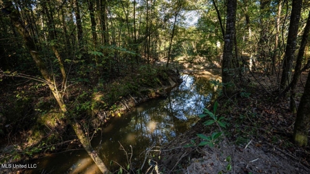 233-Acre Paradise on the Tickfaw River, Osyka, Amite County, MS - image 39