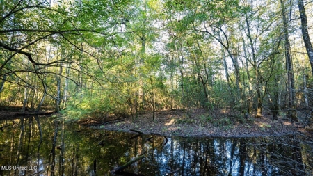 233-Acre Paradise on the Tickfaw River, Osyka, Amite County, MS - image 16