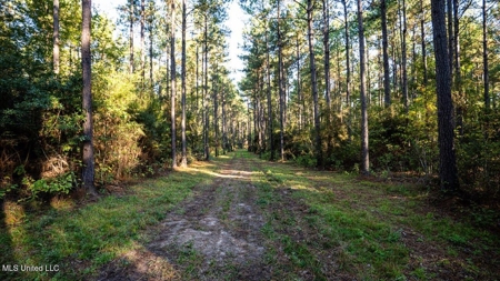 233-Acre Paradise on the Tickfaw River, Osyka, Amite County, MS - image 22