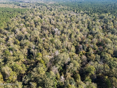 233-Acre Paradise on the Tickfaw River, Osyka, Amite County, MS - image 5