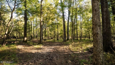 233-Acre Paradise on the Tickfaw River, Osyka, Amite County, MS - image 32