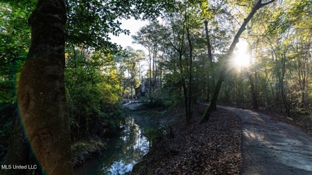 233-Acre Paradise on the Tickfaw River, Osyka, Amite County, MS - image 1