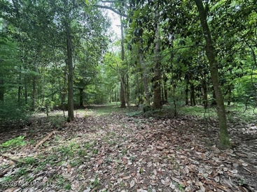 Listing 83