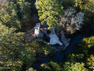 233-Acre Paradise on the Tickfaw River, Osyka, Amite County, MS - image 2