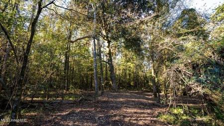 233-Acre Paradise on the Tickfaw River, Osyka, Amite County, MS - image 36