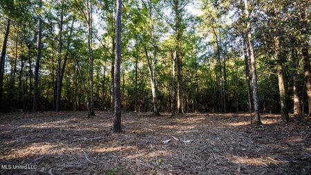 233-Acre Paradise on the Tickfaw River, Osyka, Amite County, MS - image 29