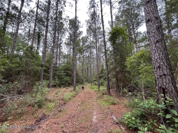 Listing 83