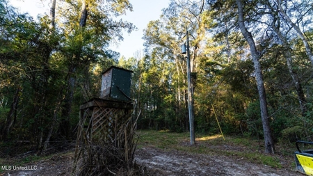 233-Acre Paradise on the Tickfaw River, Osyka, Amite County, MS - image 8