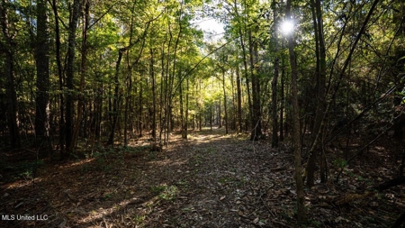 233-Acre Paradise on the Tickfaw River, Osyka, Amite County, MS - image 28