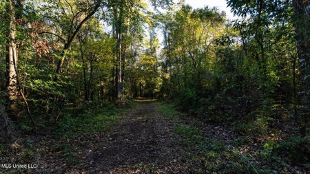 233-Acre Paradise on the Tickfaw River, Osyka, Amite County, MS - image 13