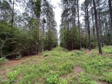 Listing 83