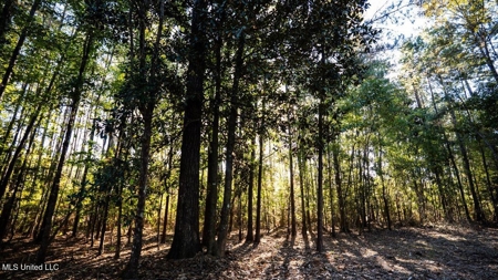 233-Acre Paradise on the Tickfaw River, Osyka, Amite County, MS - image 30