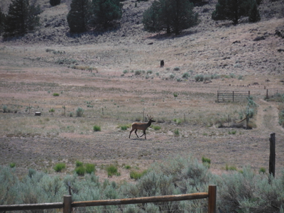 Eastern Oregon Black Bull Springs Ranch - image 11