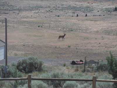 Eastern Oregon Black Bull Springs Ranch - image 9
