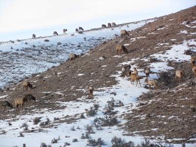 Eastern Oregon Black Bull Springs Ranch - image 10