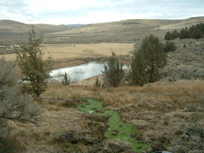 Eastern Oregon Black Bull Springs Ranch - image 15