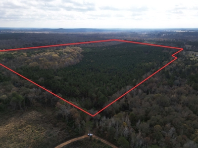 201.66± Acres of Timberland & Wildlife Habitat | Cass County - image 20