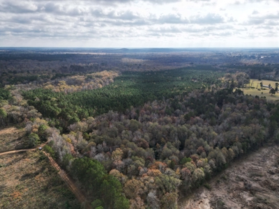 201.66± Acres of Timberland & Wildlife Habitat | Cass County - image 16
