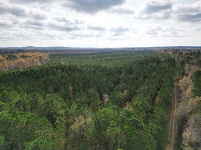 201.66± Acres of Timberland & Wildlife Habitat | Cass County - image 18