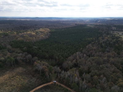 201.66± Acres of Timberland & Wildlife Habitat | Cass County - image 17