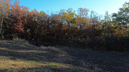 Land For sale in St. Clair County, Missouri - image 7