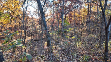 Land For sale in St. Clair County, Missouri - image 15